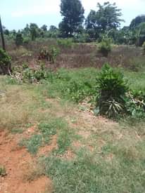 A picture of 100 by 180 for sale in Kiganda Kisoga along mukono