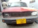 A picture of Nisani Sunny Pikapu