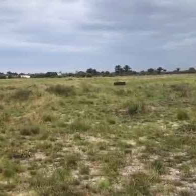 A picture of URGENT BUYER NEEDED 2PLOT OF LAND IBEJU LEKKI