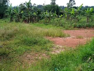 A picture of Good plot for both rentals and residential establishment is up