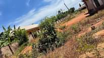A picture of ANZA NA LAKI TANO UMILIKI KIWANJA KIGAMBONI