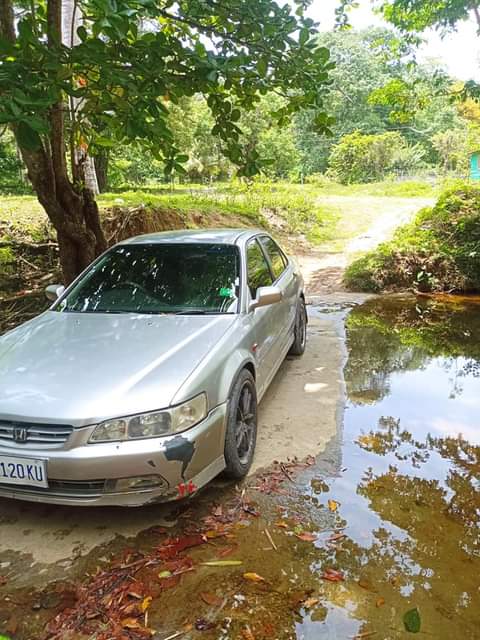HONDA D.