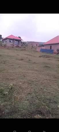 A picture of Plot of land for sale Price 15millions