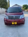 A picture of Toyota Alphad