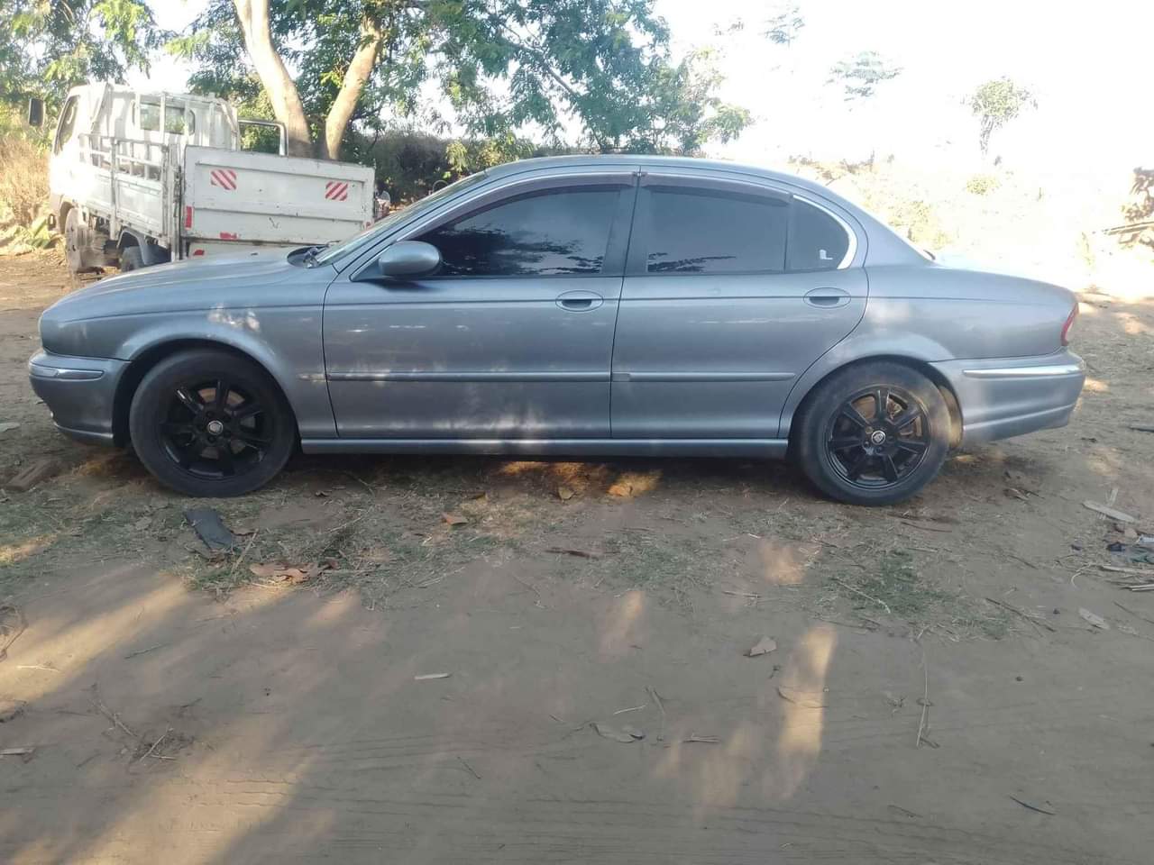 jaguar
