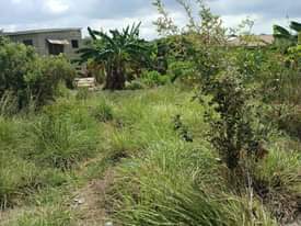 A picture of Kiwanja madale mbopo