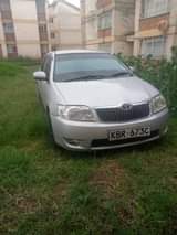Wanjiku M.