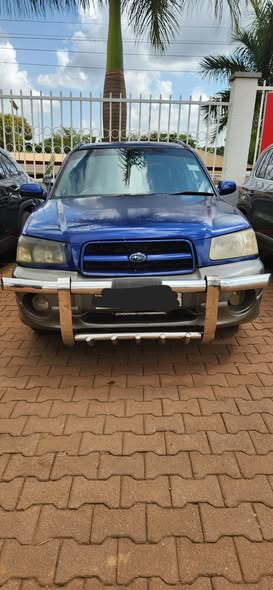 A picture of Subaru forester 2022