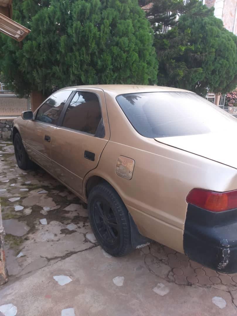 A picture of 2008 Toyota Corolla Lexus Perfect