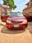 A picture of Belgium grade Camry big daddy