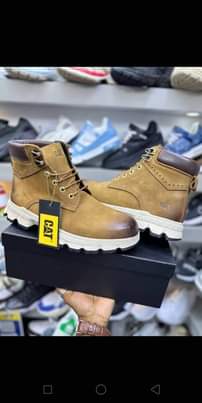 A picture of Boot kali