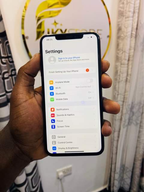 A picture of Xs Max