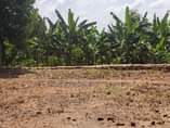 A picture of House matuga kitungwa