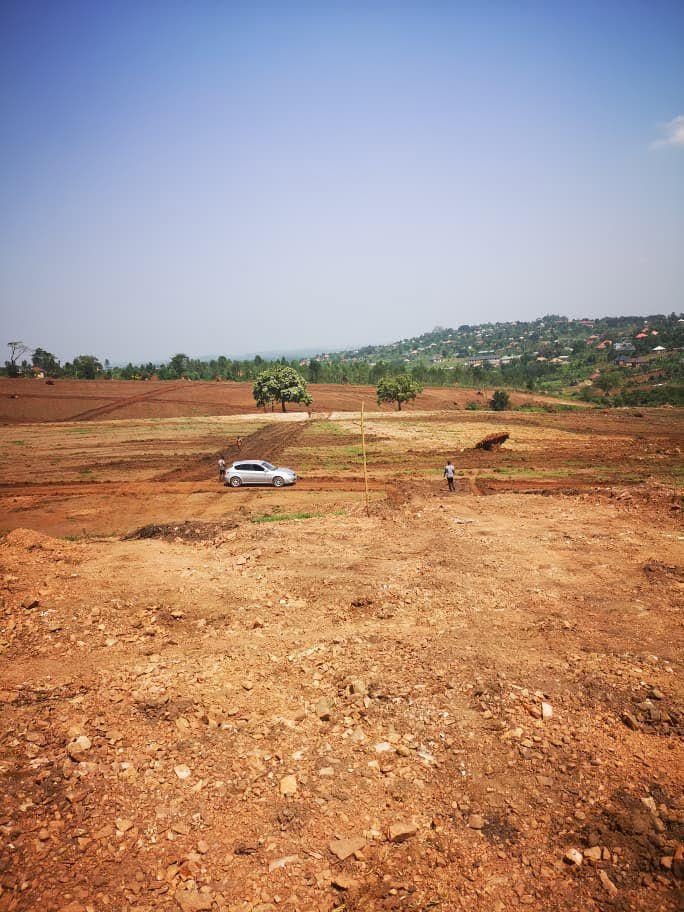 A picture of Land plots