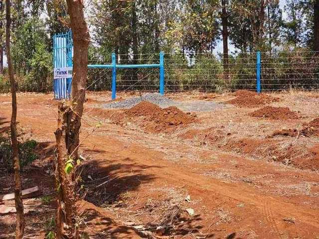 makutano plots