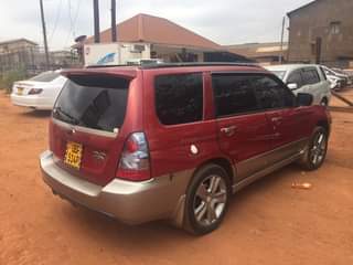 A picture of Subaru LL bean