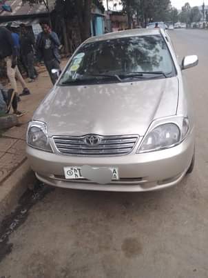 used toyota corolla