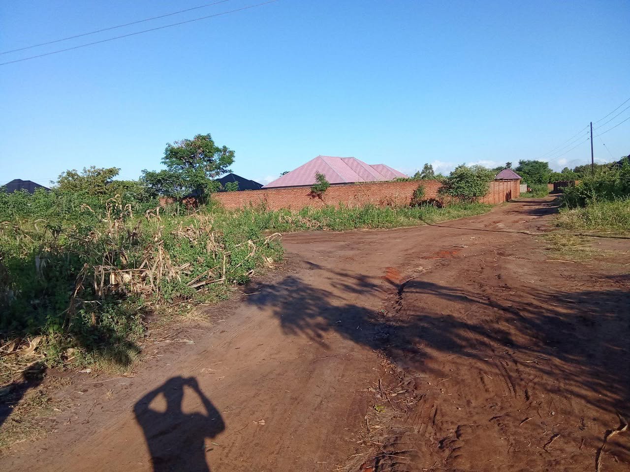 land