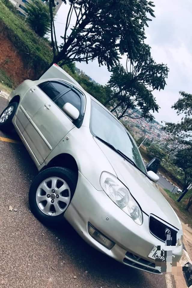 used toyota corolla