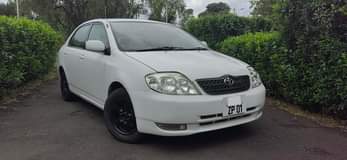 used toyota corolla