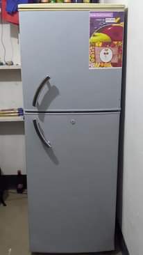 A picture of Friji