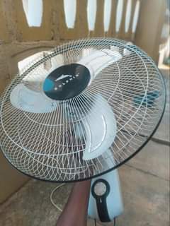 fans