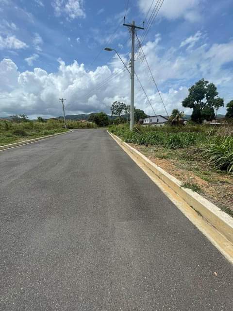Trinidad R.