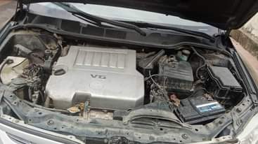 A picture of Tokumbo standard first body first user