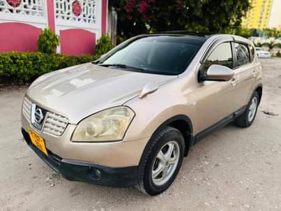 A picture of Nissan dualis