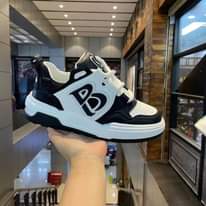A picture of Shoe