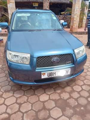 A picture of Subaru Cross sports