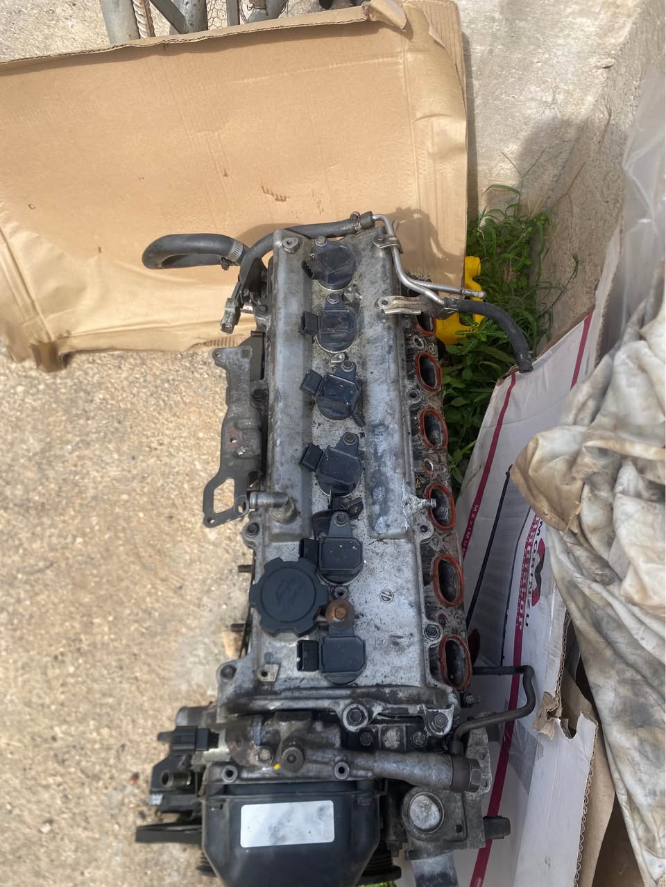 used toyota altezza