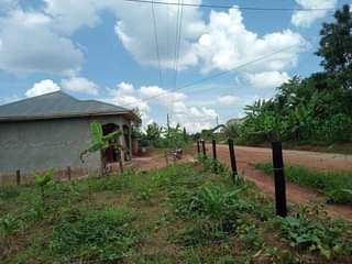 A picture of 50 100ft near tarmac is up for sale 12m located