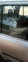 A picture of Honda CR V