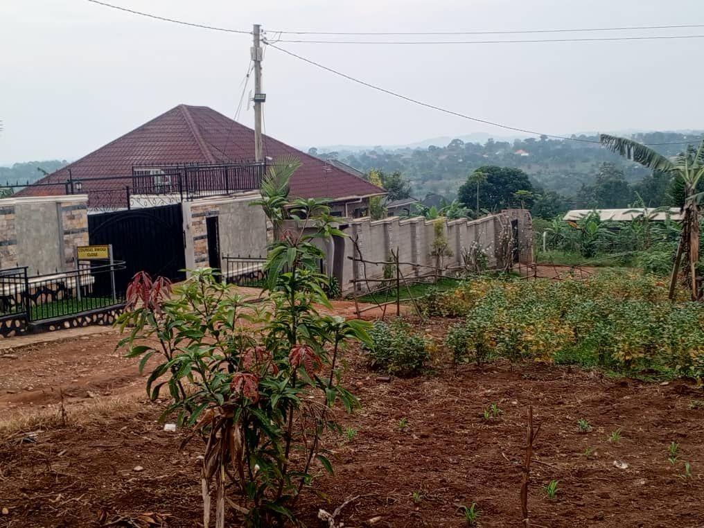 A picture of BUSUBUZI DEAL UGX22Millions Plot size 50 100fts on quick sale