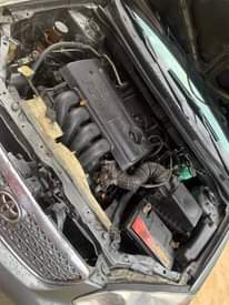 A picture of Corolla