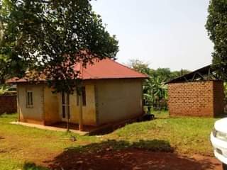 Onyango J.