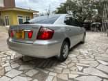 A picture of Premio new model