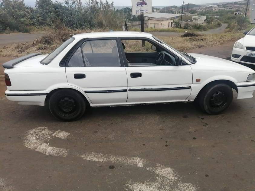 Kzn V.