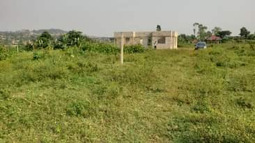 A picture of 50 100 plots available in nabusugwe via kitukutwe.