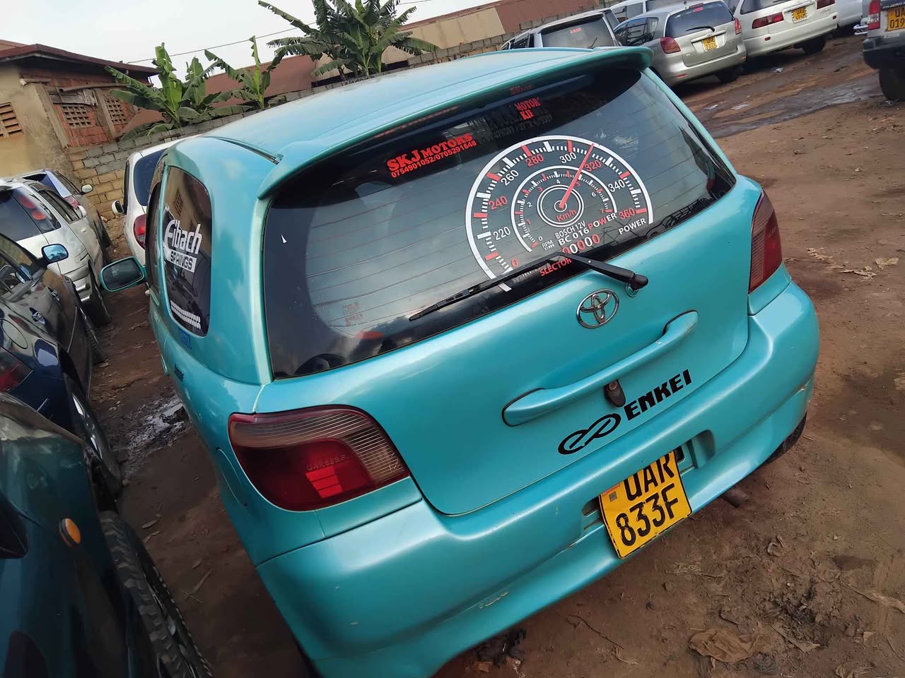 A picture of Vitz