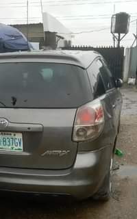 A picture of PAINTED MATRIX 2007