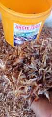 A picture of All foodstuffs available for pickup send in ur order