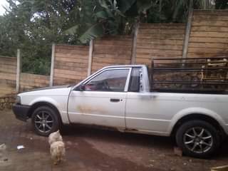 ldv
