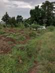 A picture of LAND FOR SALE IN BUDDO 45 Decimals with ready private
