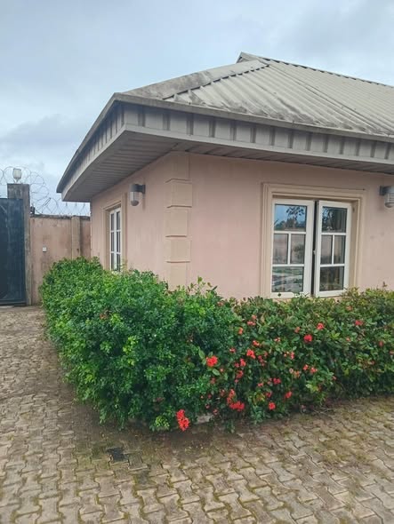 A picture of House