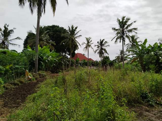 kiwanja