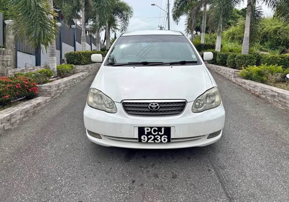 toyota altis