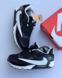 A picture of Air max