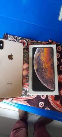 A picture of iPhone X Pro Max